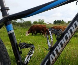 Maintenance, equipment, and bicycles in general are essential because they ensure safe and efficient performance, extend the lifespan of components, allow the bike to be adapted to different needs and riding styles, and promote responsible and enjoyable cycling practice.