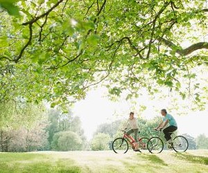 Maintenance, equipment, and bicycles in general are essential because they ensure safe and efficient performance, extend the lifespan of components, allow the bike to be adapted to different needs and riding styles, and promote responsible and enjoyable cycling practice.