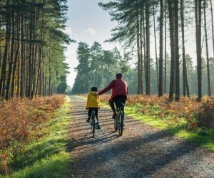 Top Bike Touring Routes in Houston