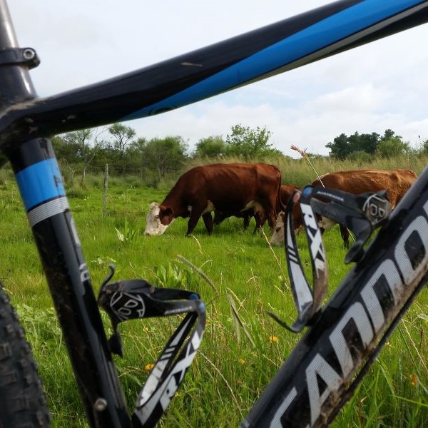 Hardtail vs. full-suspension: which to pick?
